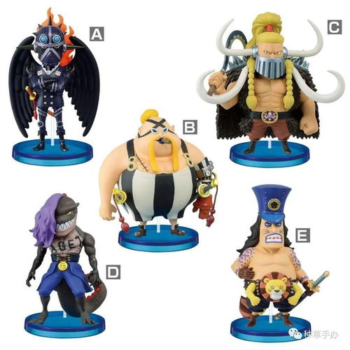 海贼王眼镜厂新品速递 种草情报