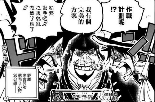 恭喜海贼王来到成人世界