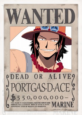 海贼王艾斯悬赏令 火拳之名的荣耀与悲壮